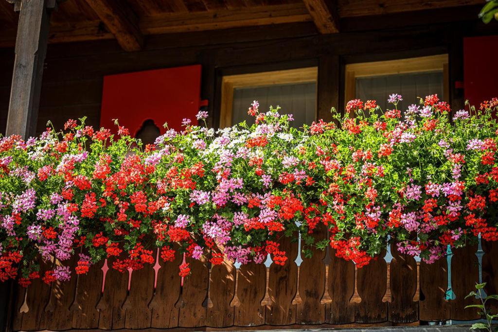 Hotel Sonnenhalde, Arosa Luaran gambar