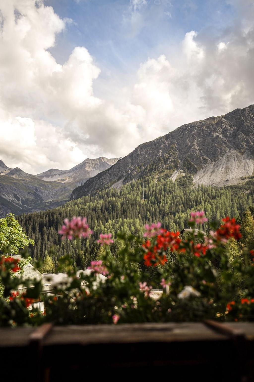 Hotel Sonnenhalde, Arosa Luaran gambar